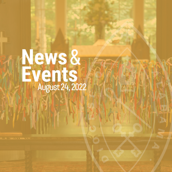 Our latest news and updates - August 24, 2022