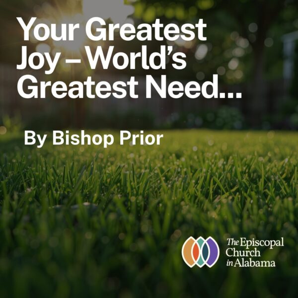 Our Latest News – Sept. 4, 2024