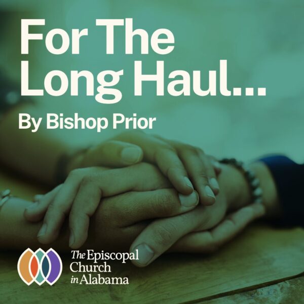 OUR LATEST NEWS - OCT 23, 2024