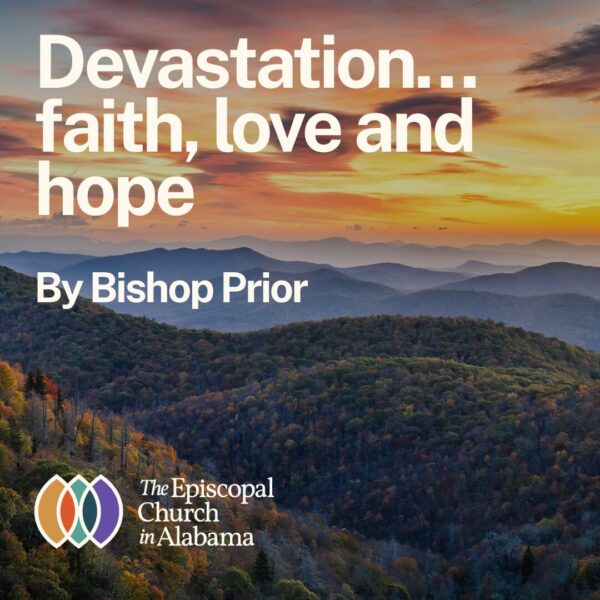 OUR LATEST NEWS - OCT 16, 2024