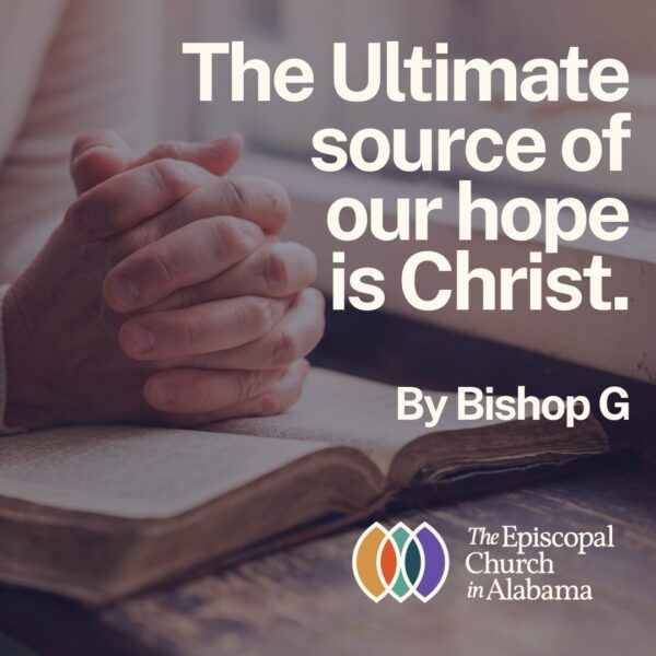 OUR LATEST NEWS - OCT. 30, 2024