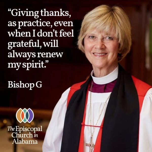 OUR LATEST NEWS - NOV. 27, 2024