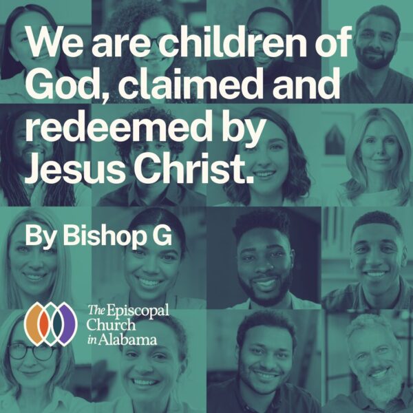 OUR LATEST NEWS - NOV. 6, 2024