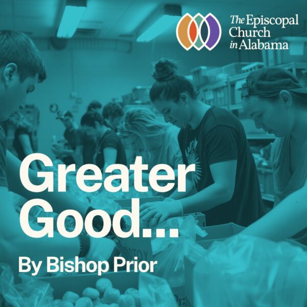 OUR LATEST NEWS - NOV. 13, 2024