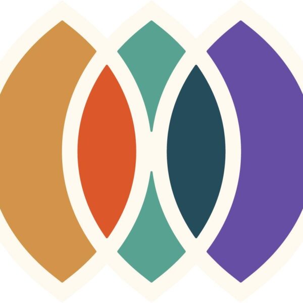 Standing Committee Announces 13th Bishop Search Committee Members