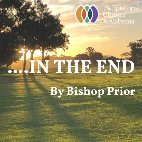 OUR LATEST NEWS - FEB. 19, 2025