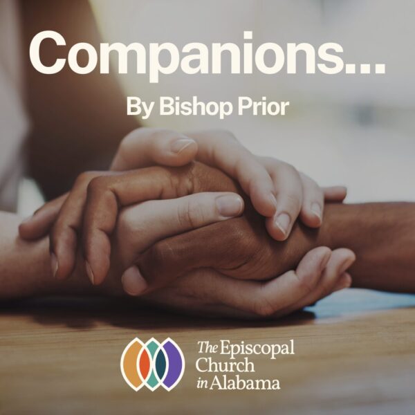 OUR LATEST NEWS - MARCH 19, 2025