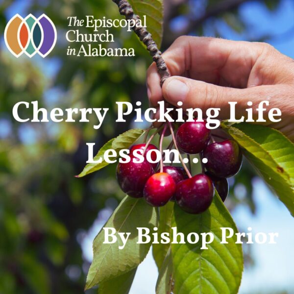 OUR LATEST NEWS - JUNE 18, 2025