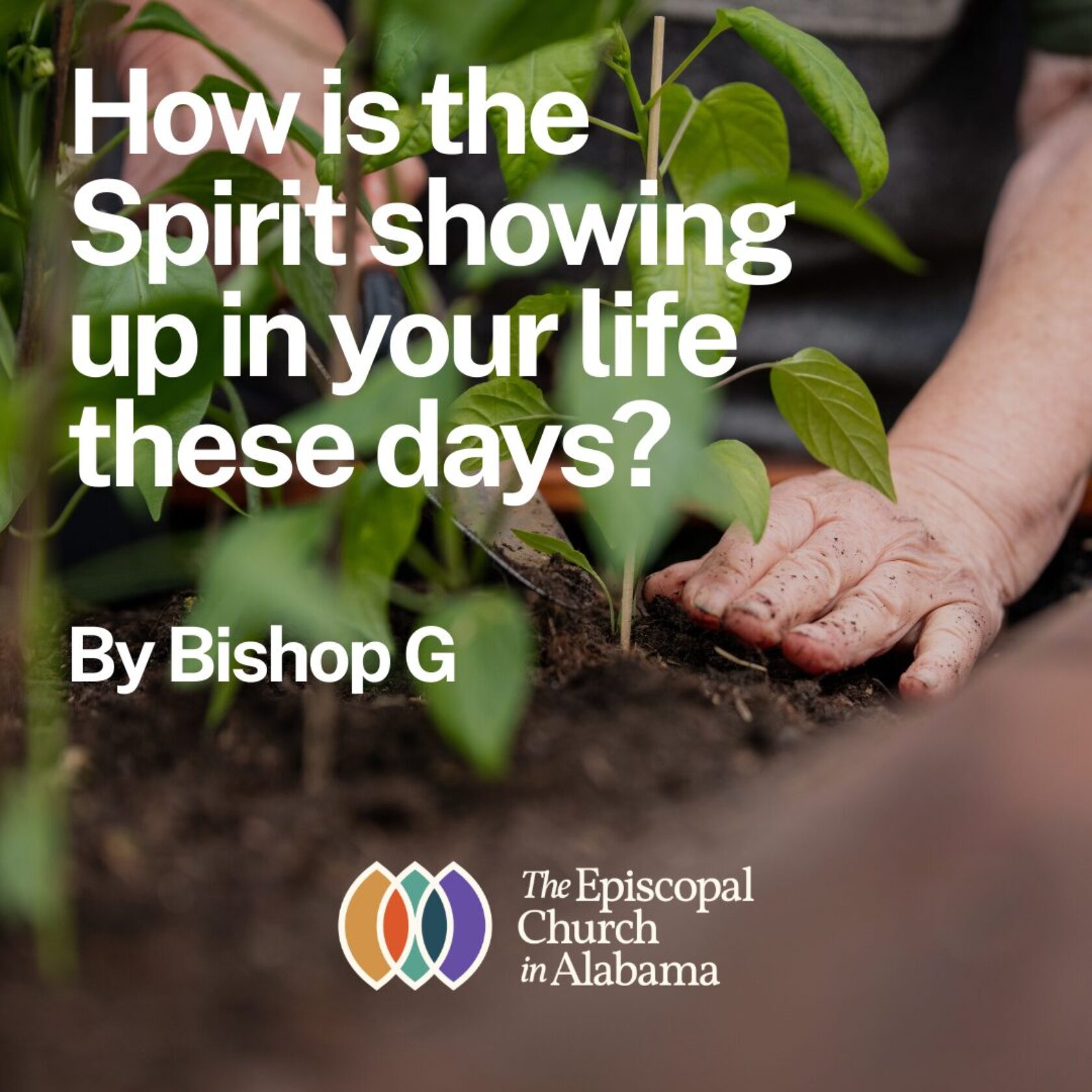 OUR LATEST NEWS- JUNE 12, 2025