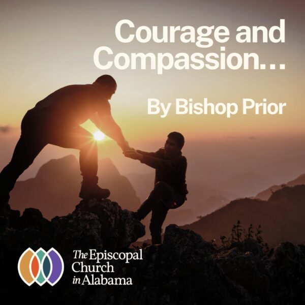 OUR LATEST NEWS - JUNE 4, 2025