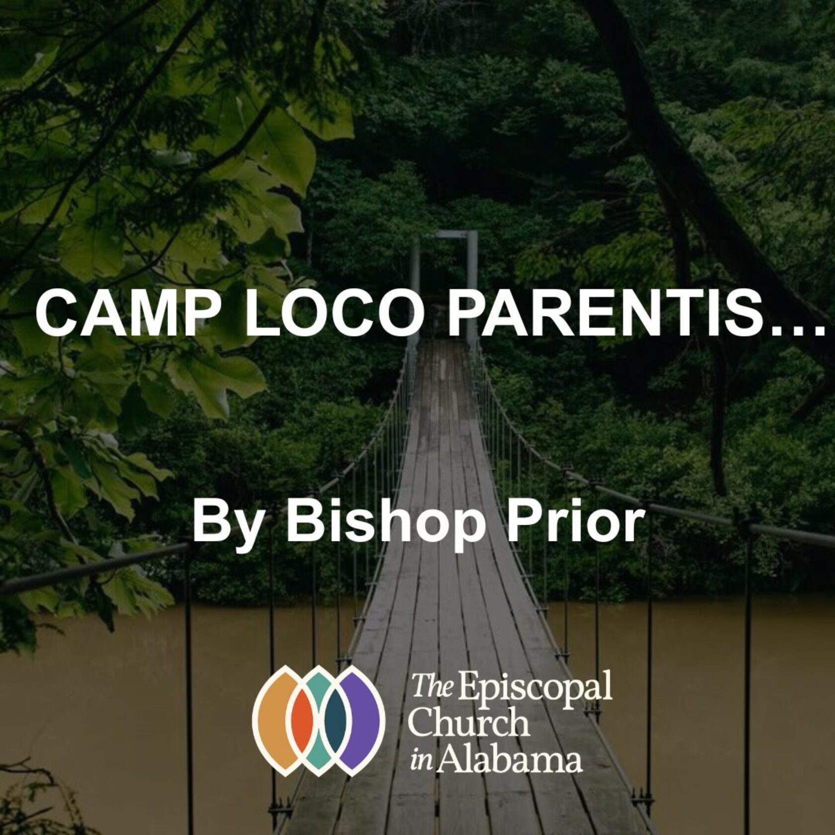 OUR LATEST NEWS - JULY 16, 2025