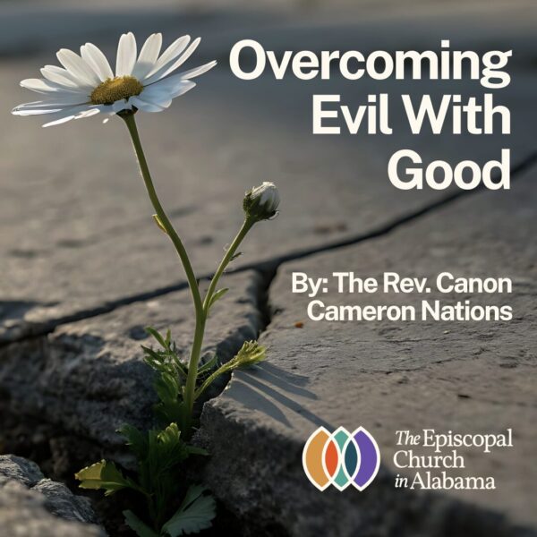 Overcoming Evil With Good - By The Rev. Canon Cameron Nations