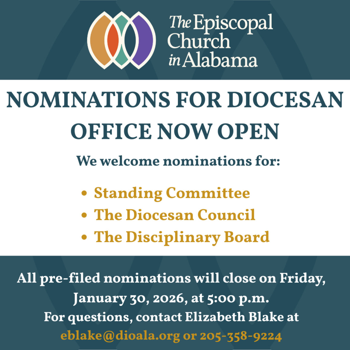 195th Diocesan Convention - 