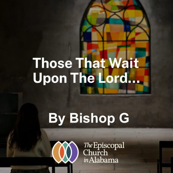 OUR LATEST NEWS -DEC. 10. 2025