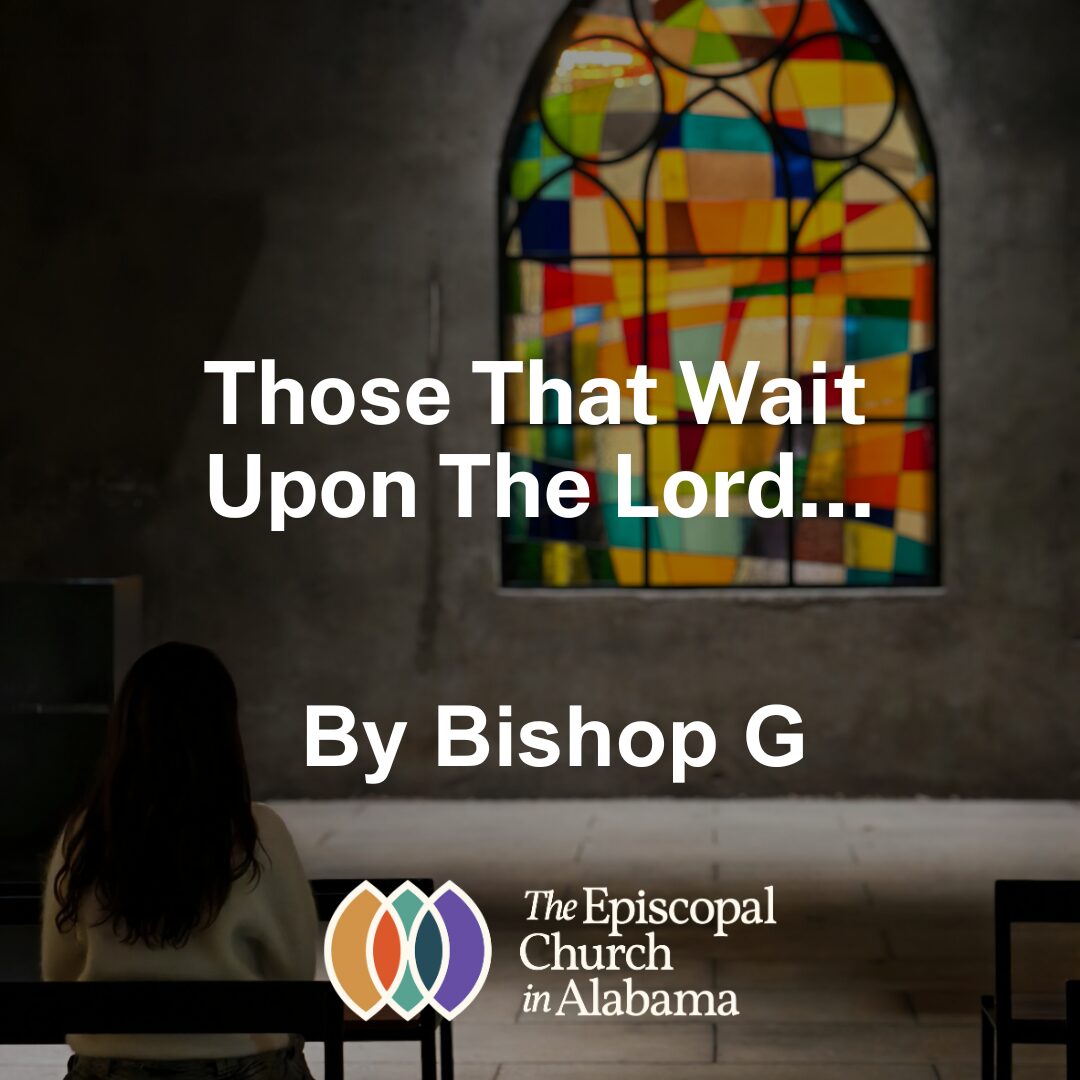 OUR LATEST NEWS -DEC. 10. 2025