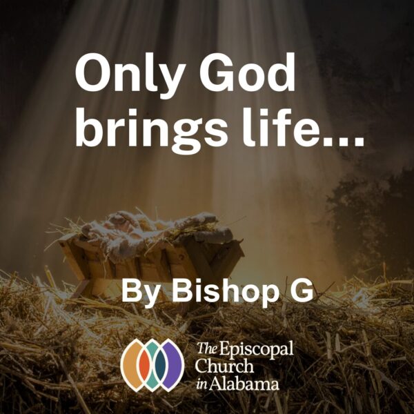 OUR LATEST NEWS - DEC. 17, 2025