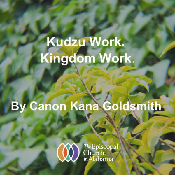 “Kudzu Work. Kingdom Work.” – By Canon Kana Goldsmith
